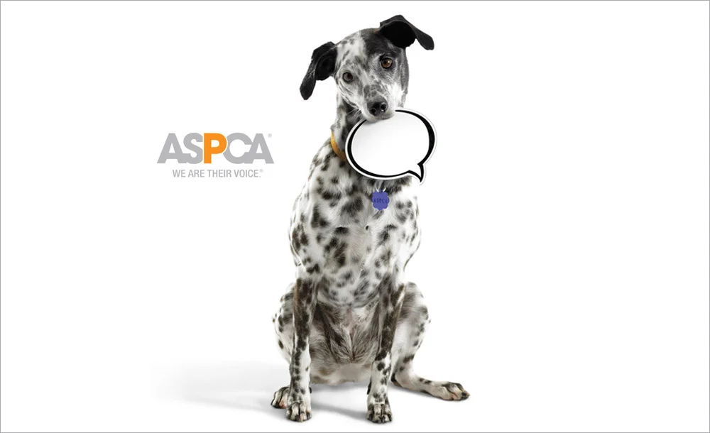 aspca5.jpg