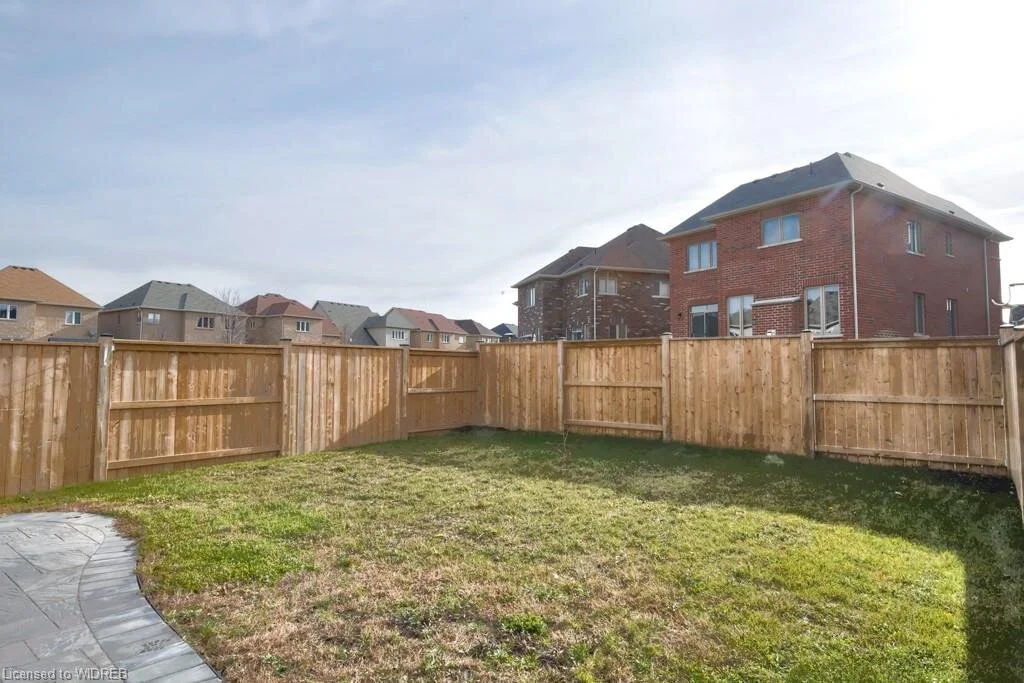 yard..jpeg