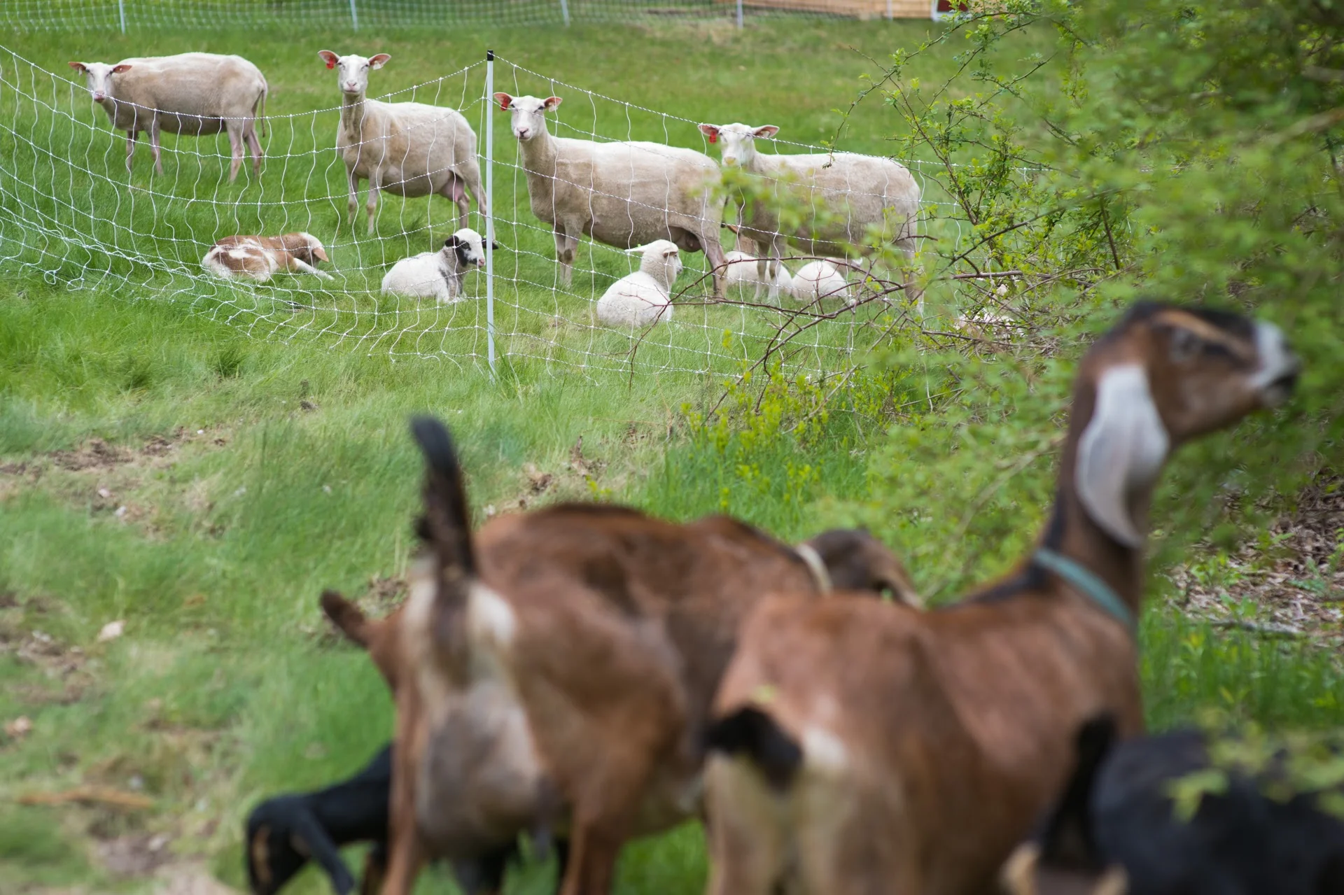 About Us — Lillooet Farm