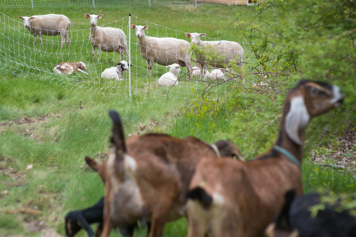 About Us — Lillooet Farm