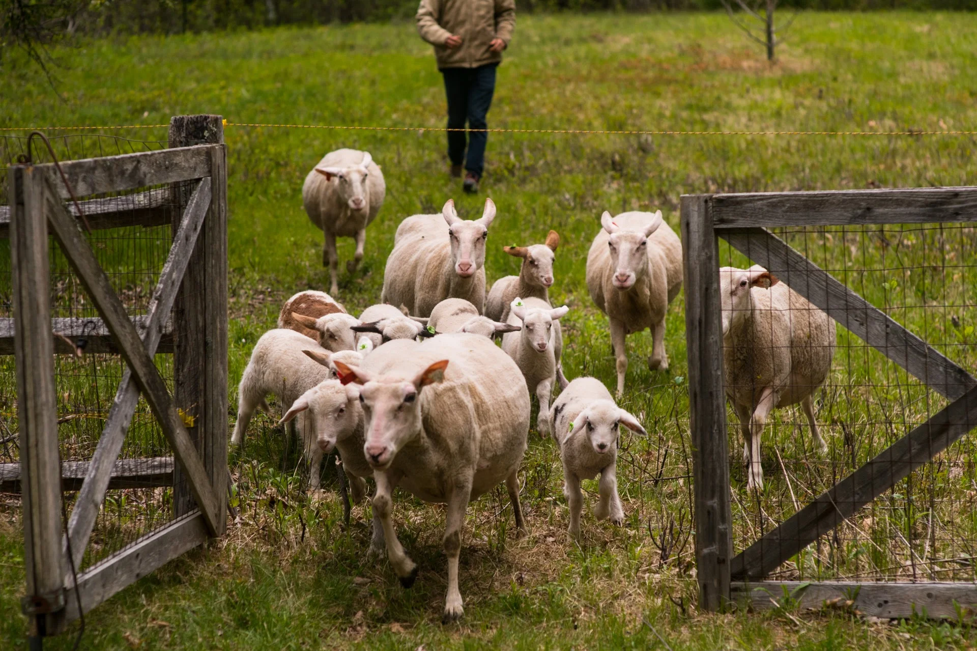About Us — Lillooet Farm