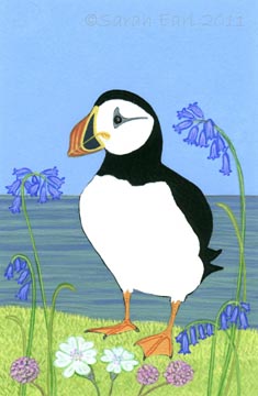Puffin.jpg