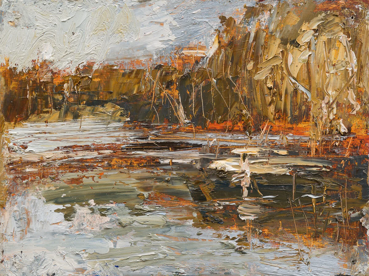 Creek reflections (Wader)