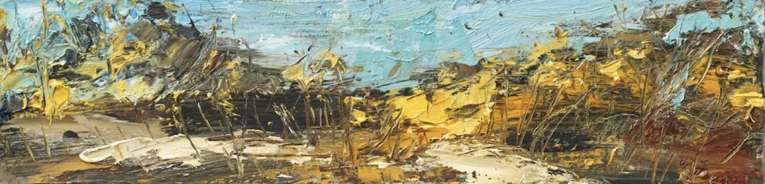 Goonhilly Vista (spring gorse) II