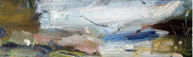 Cove, extended landscape series