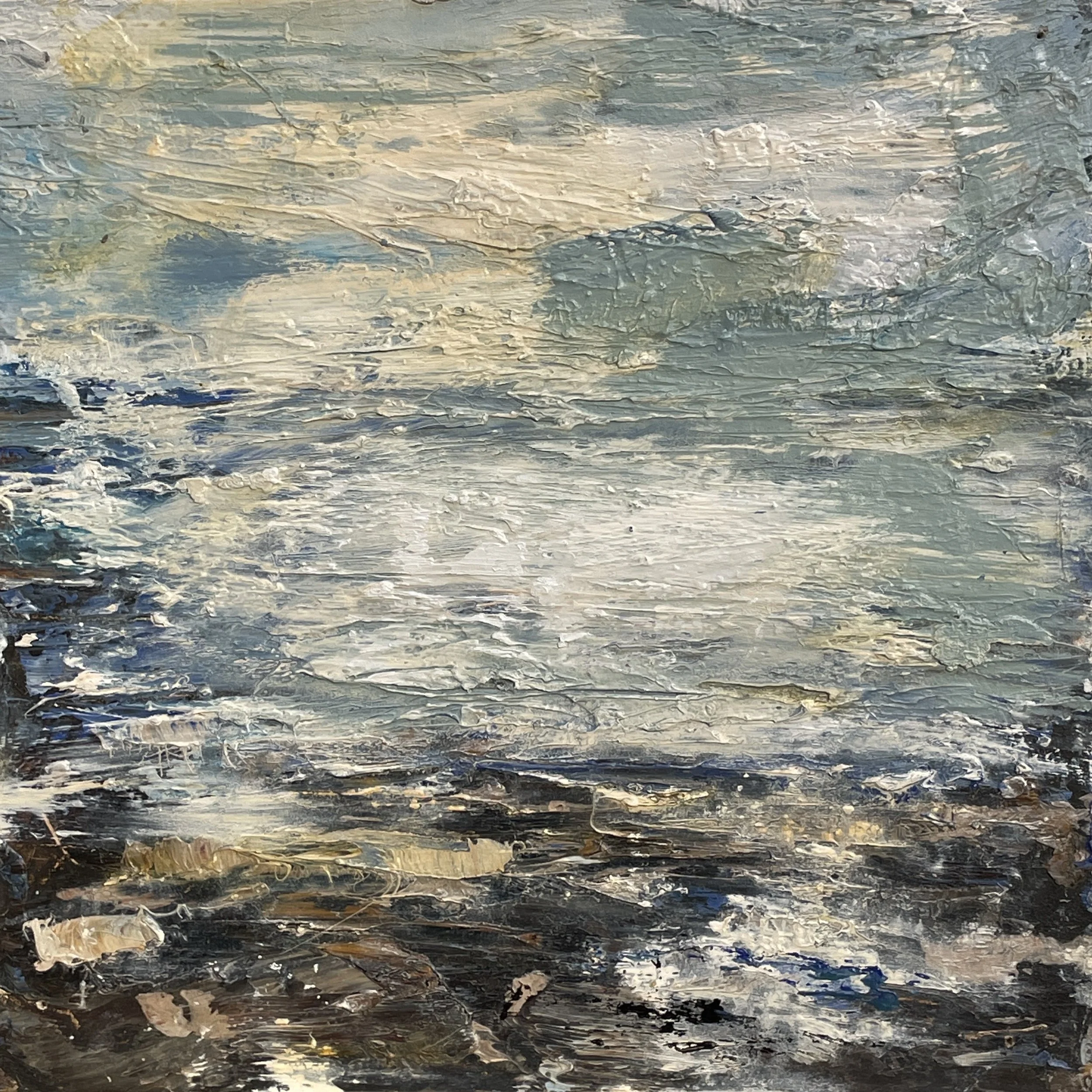 Dollar Cove foreshore