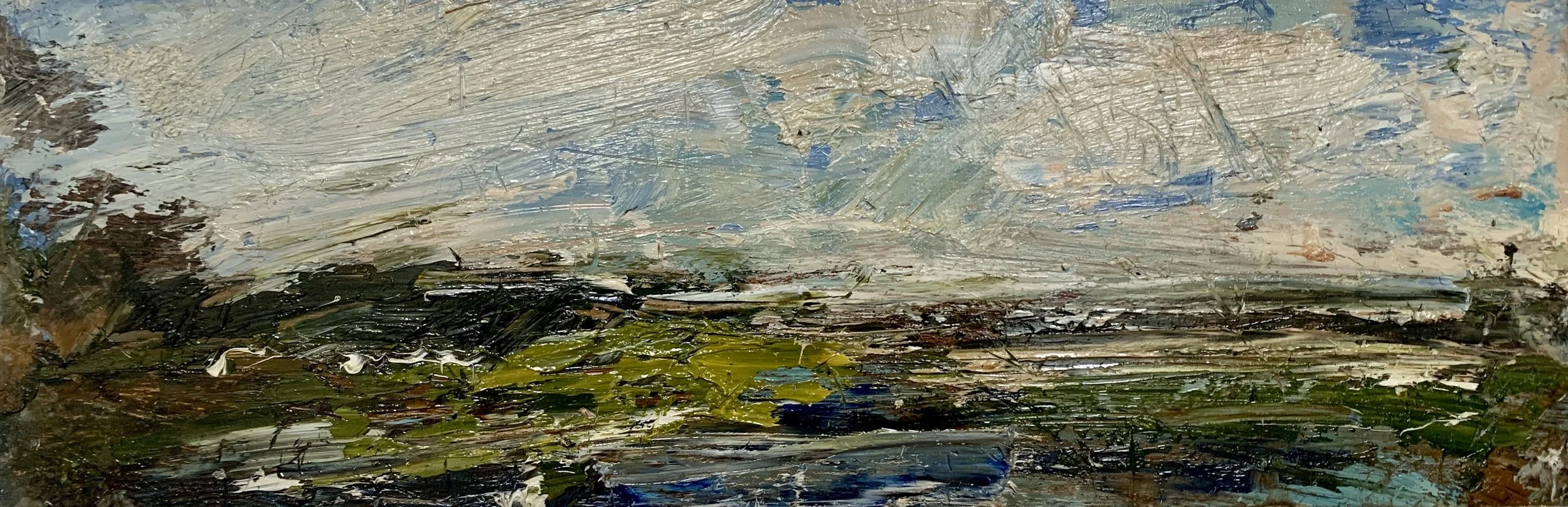  Goonhilly wetland horizon II  20.5 × 60.5cm  oil on board 