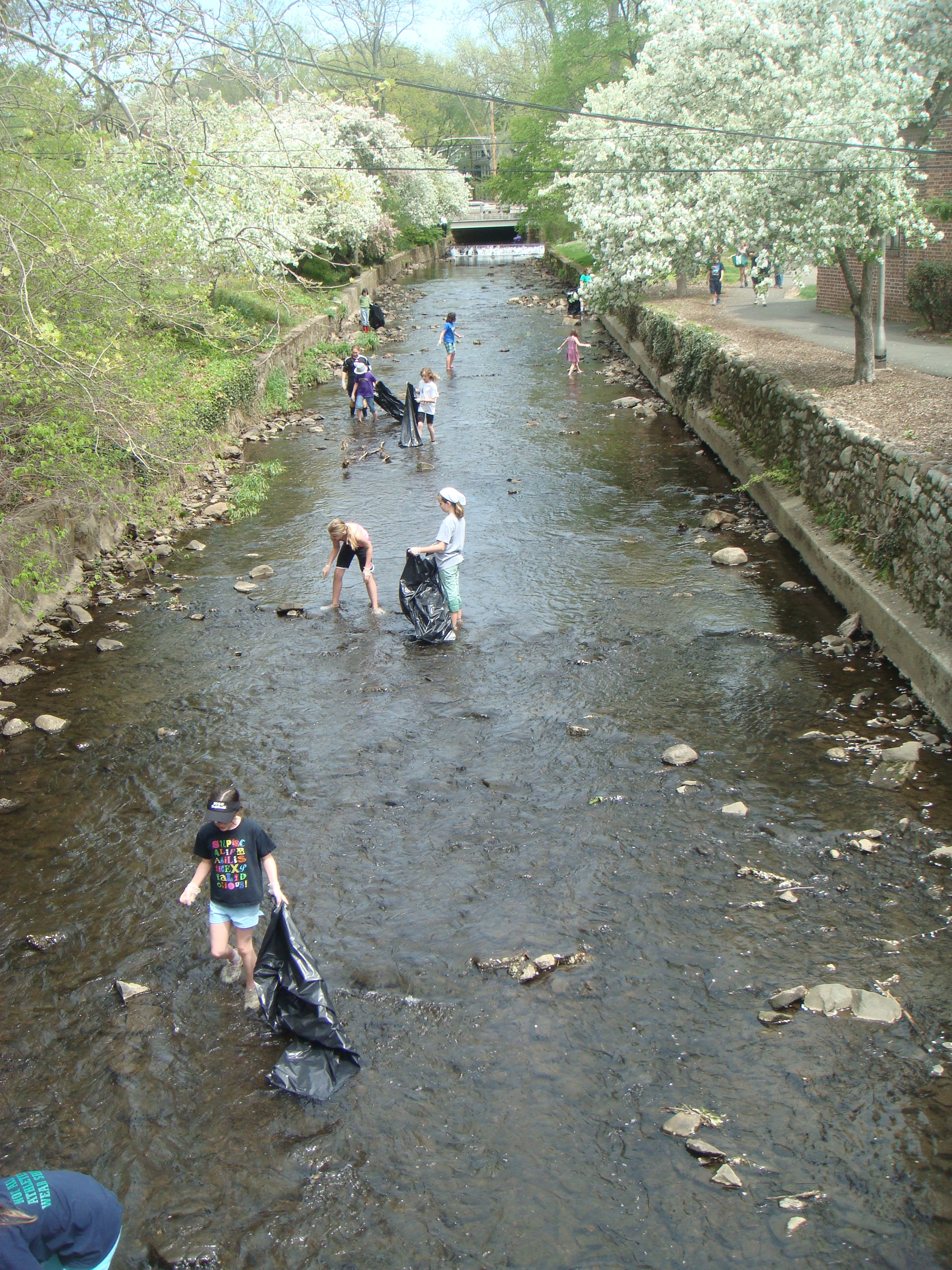 DSC09785.jpg