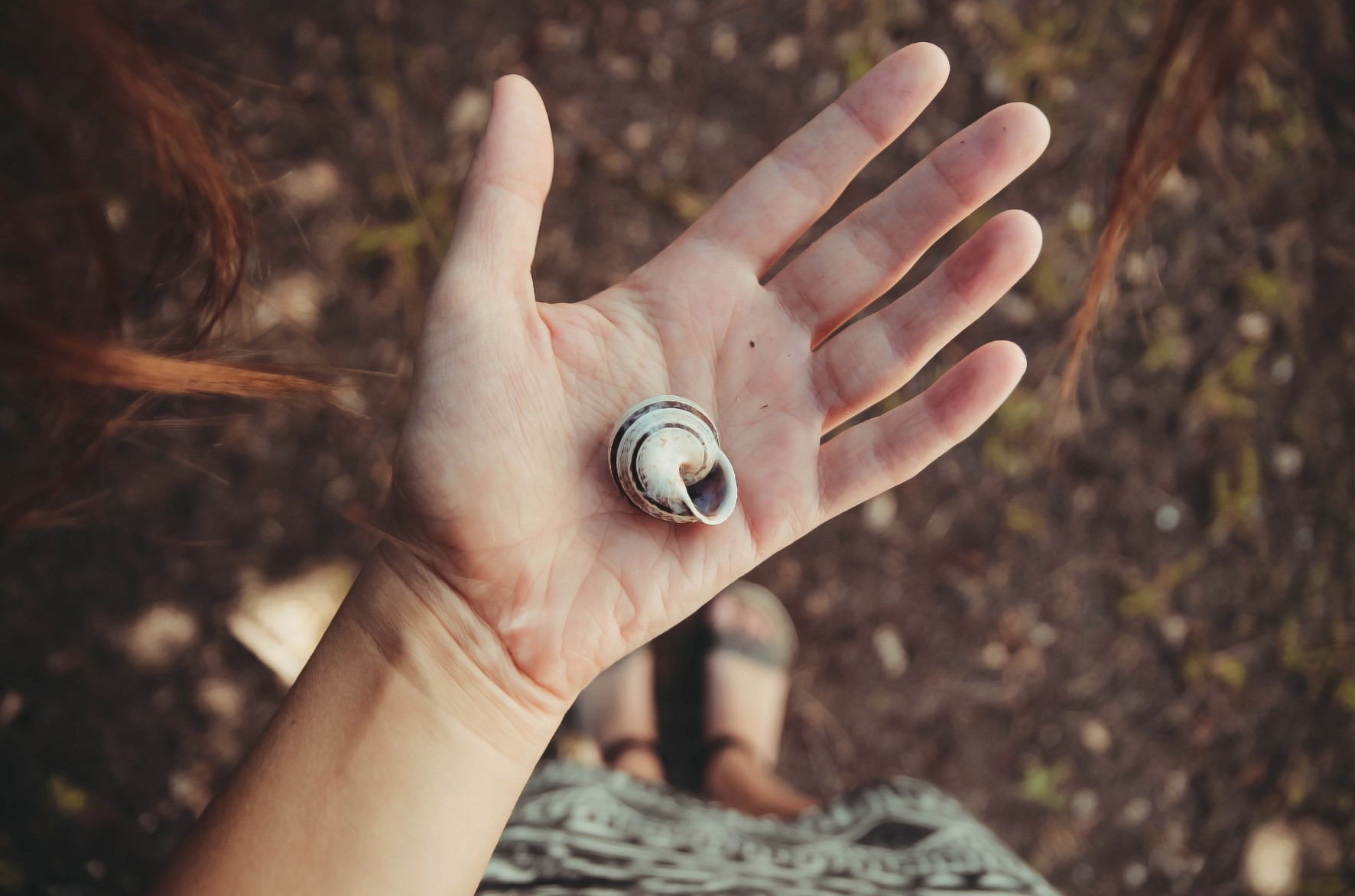 Women Financing the Future