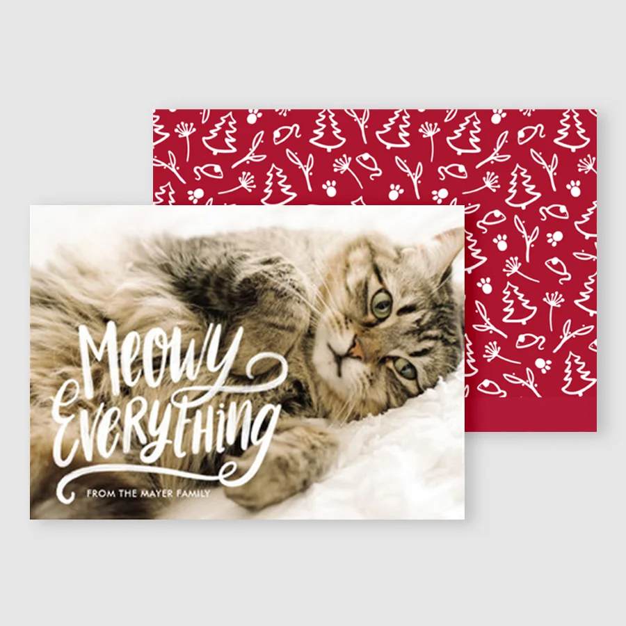 Meowy Everything