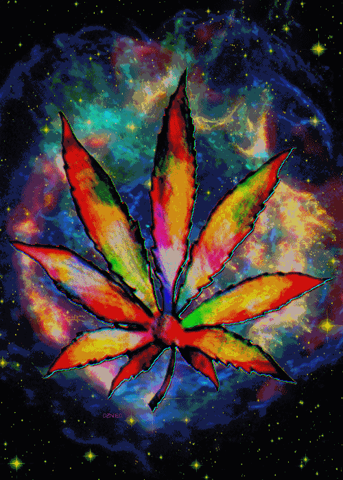 78a39c458a2fa9fa0b05ed7f0a019765.gif