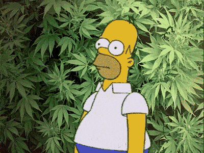 anigif_enhanced-29058-1497545703-10.gif