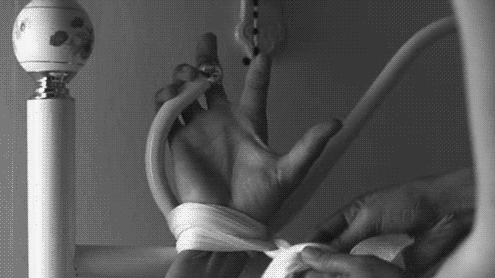 16688103.gif