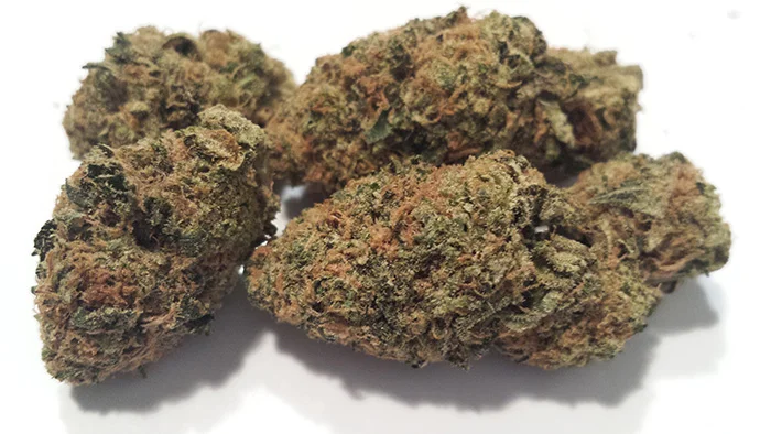 Girl-Scout-Cookies-Strain-Nugs.jpg