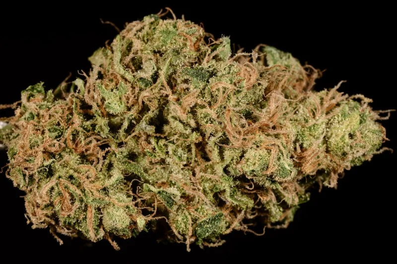 golden-goat-strain-theory-800x533.jpg