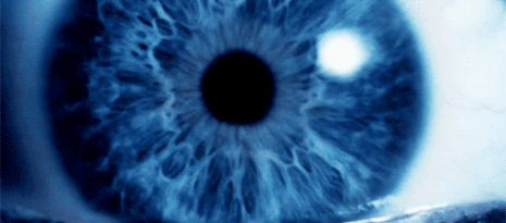 giphy-1.gif