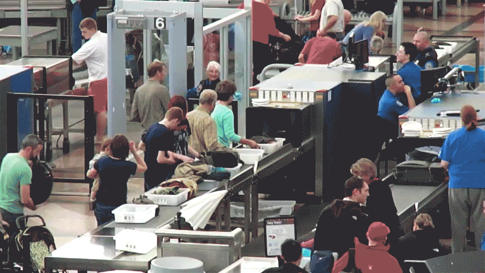 travel.gif