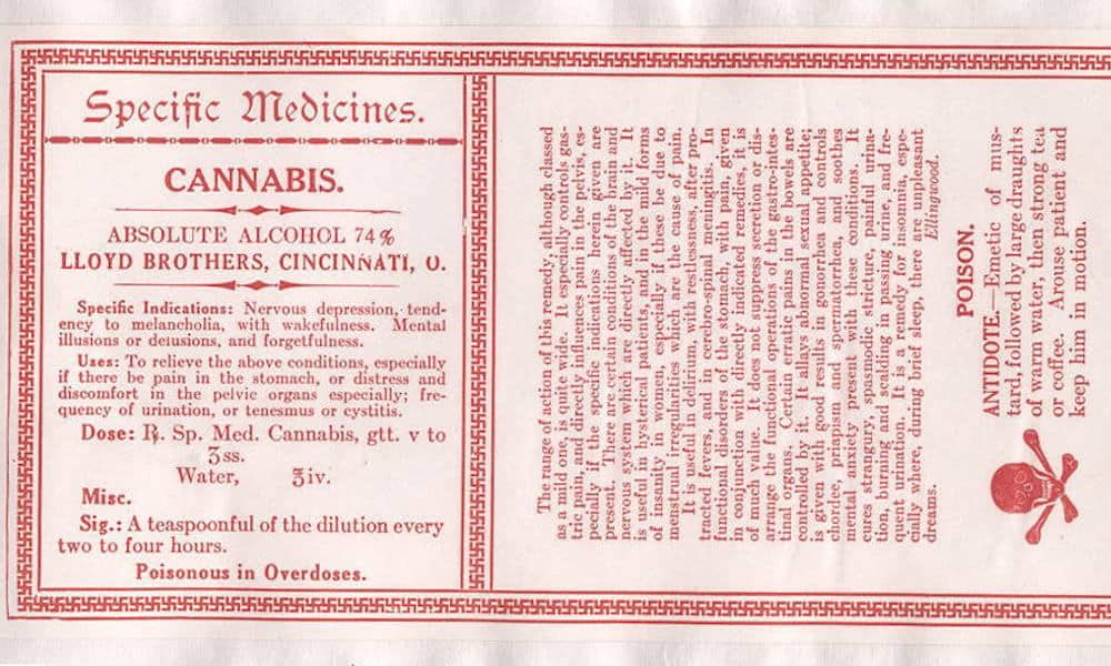 Antique Cannabis Book