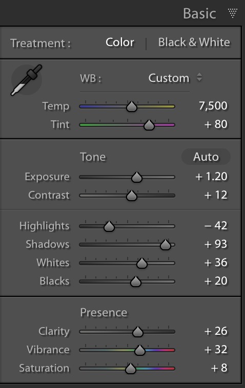 Basic and initial retouch to retain as much detail in shadow and highlight.