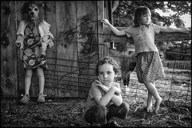 August Days, Kathryn Oliver
