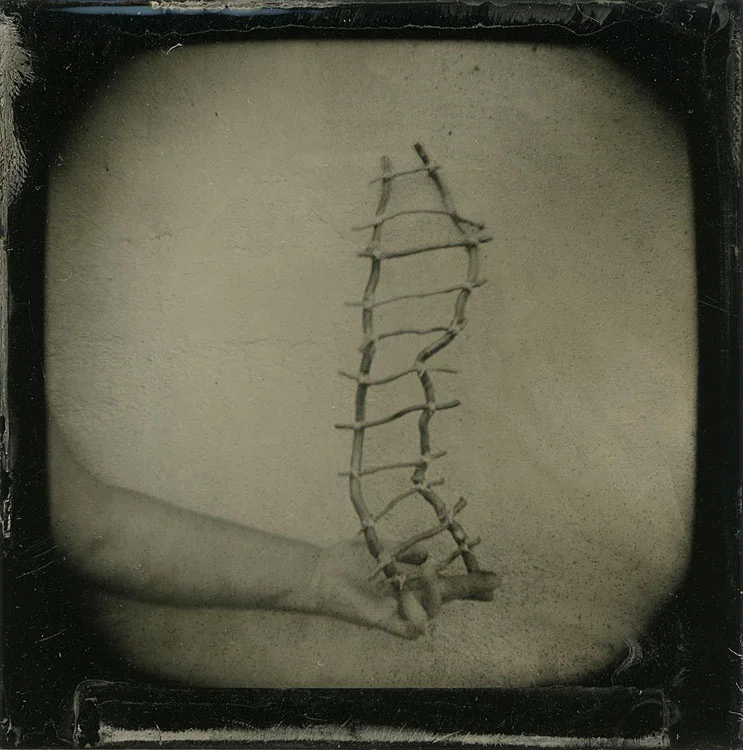 Opelia's Adversity, Barbara Dombach