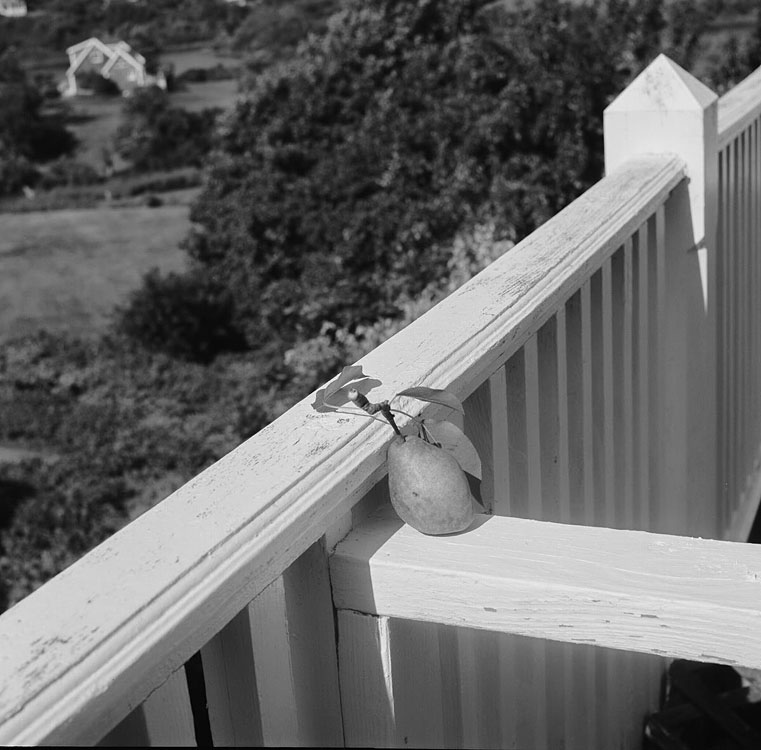 Narragansett Pear, Nadia Land-Greene