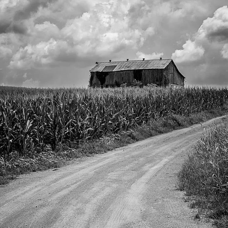 Smallman Barn, Elizabeth Moser