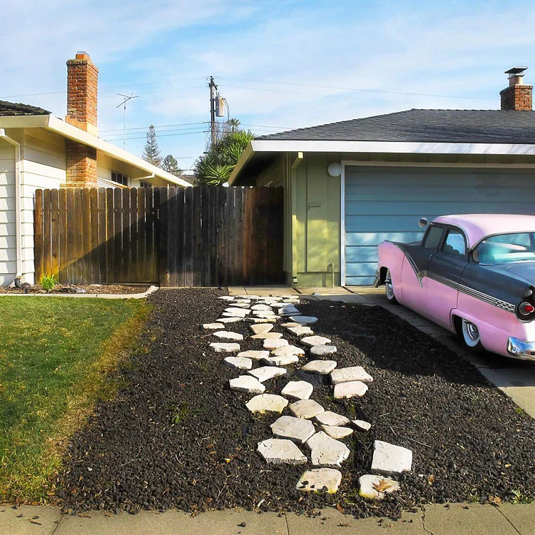 Black & White_from the series Property Line, Roberta Neidigh
