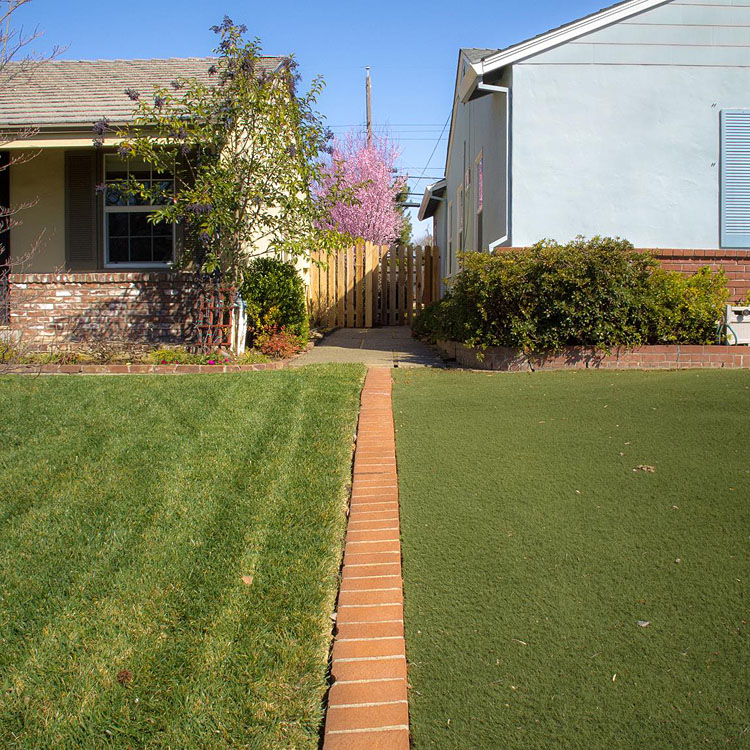 Brick Line_from the series Property Line, Roberta Neidigh