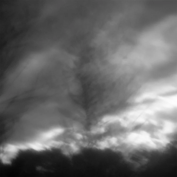 Winter is Coming, Michael Trupiano