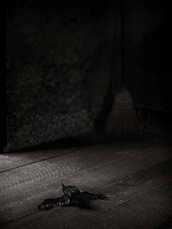 A-Crow's-Murderw.jpg