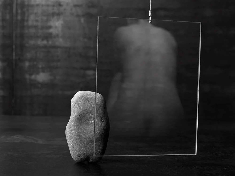 Back Torso, Frank Sherwood White