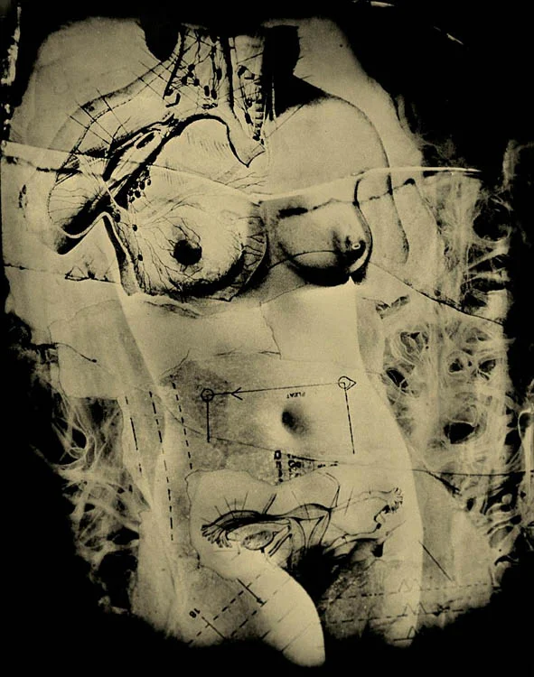 Venus de Milo, Rheana Gardner