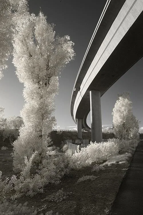 Colonnade Richard Ferncase