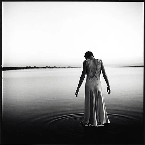 Serendipity William Nieberding
