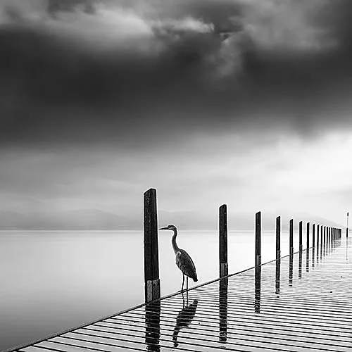 Rain Bird George Digalakis