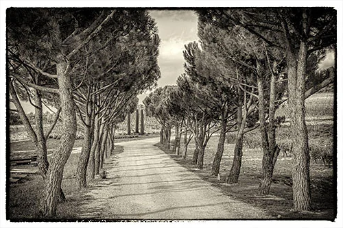 Château La Coste Nancy Bundy