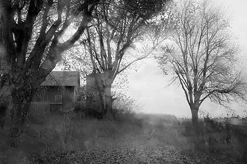 The Long Walk Home Marcia Mahoney
