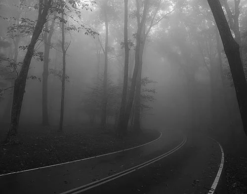 Shenandoah Fog Michael Armstrong