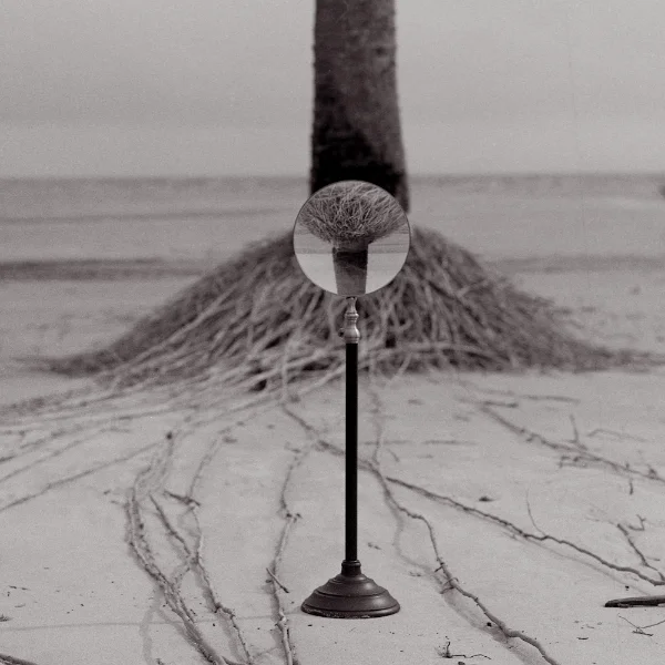 False Promises ©Lori Vrba