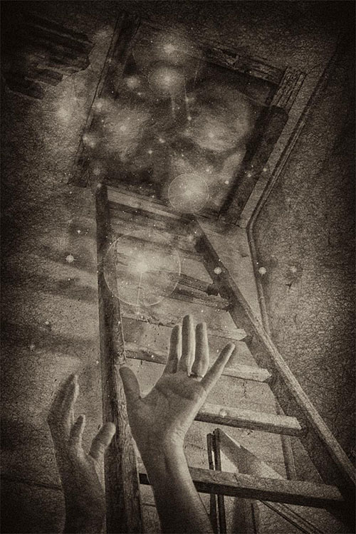 Stardust Catharine Carter