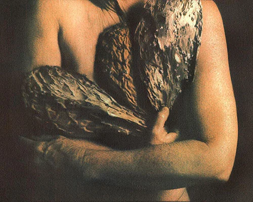 Flesh and Food 1d Karen Hymer