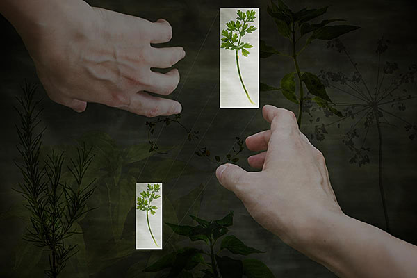 Scarborough Fair Tatyana Bessmertnaya