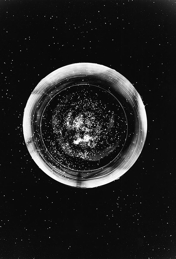 The Nucleus Of Us All #2 Paula Damasceno de Oliveira