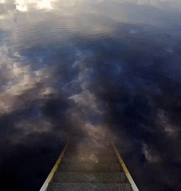 Portal at Dawn Lynn Savarese