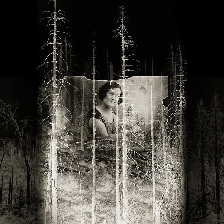 All That Remains Amy Kanka Valadarsky