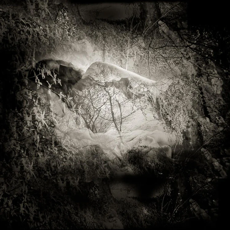Hidden gardens, secret dreams Amy Kanka Valadarsky
