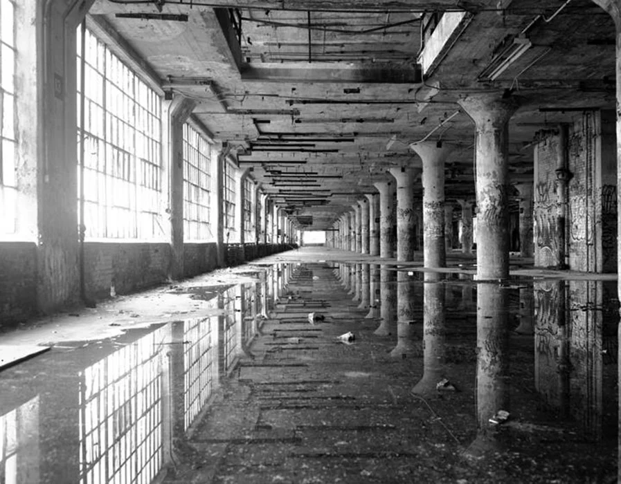 Budd Plant (1), Philadelphia Dale Rio