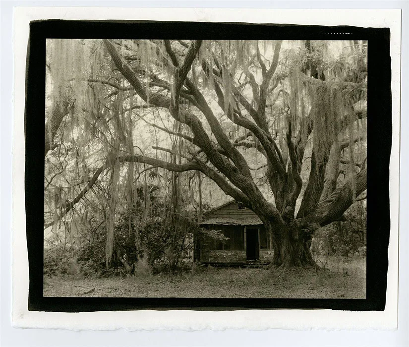 Hog Hammock #1 Dylan Wilson