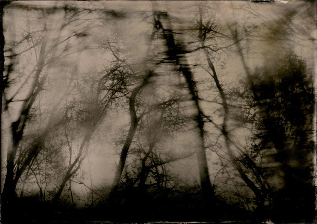 Spring storm #1, 2017 Susan Bryant